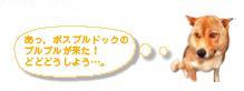 uA{XuhbÕuuI@ǂǂǂ悤cBv@PopPW@񂽂